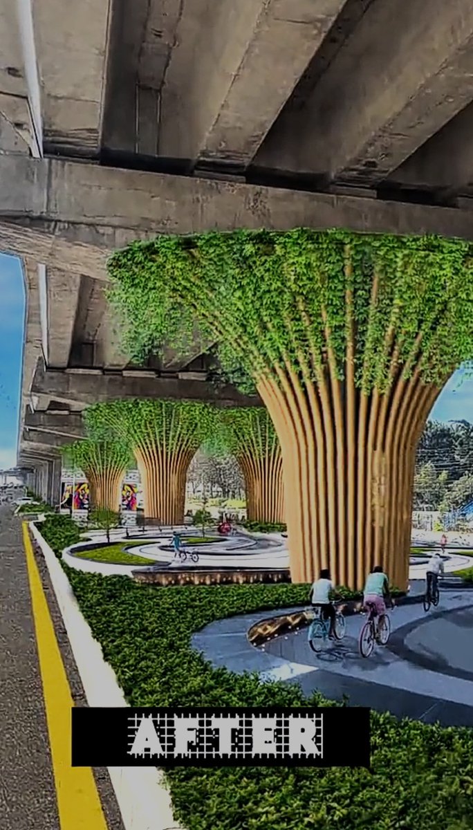 What do you think of this young man's idea?