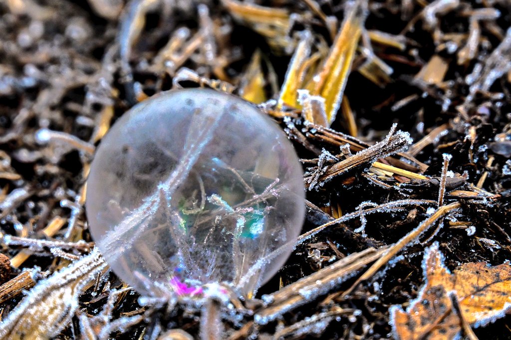 littleswisslady's tweet image. #IceBubble
#täglicheWunder💛