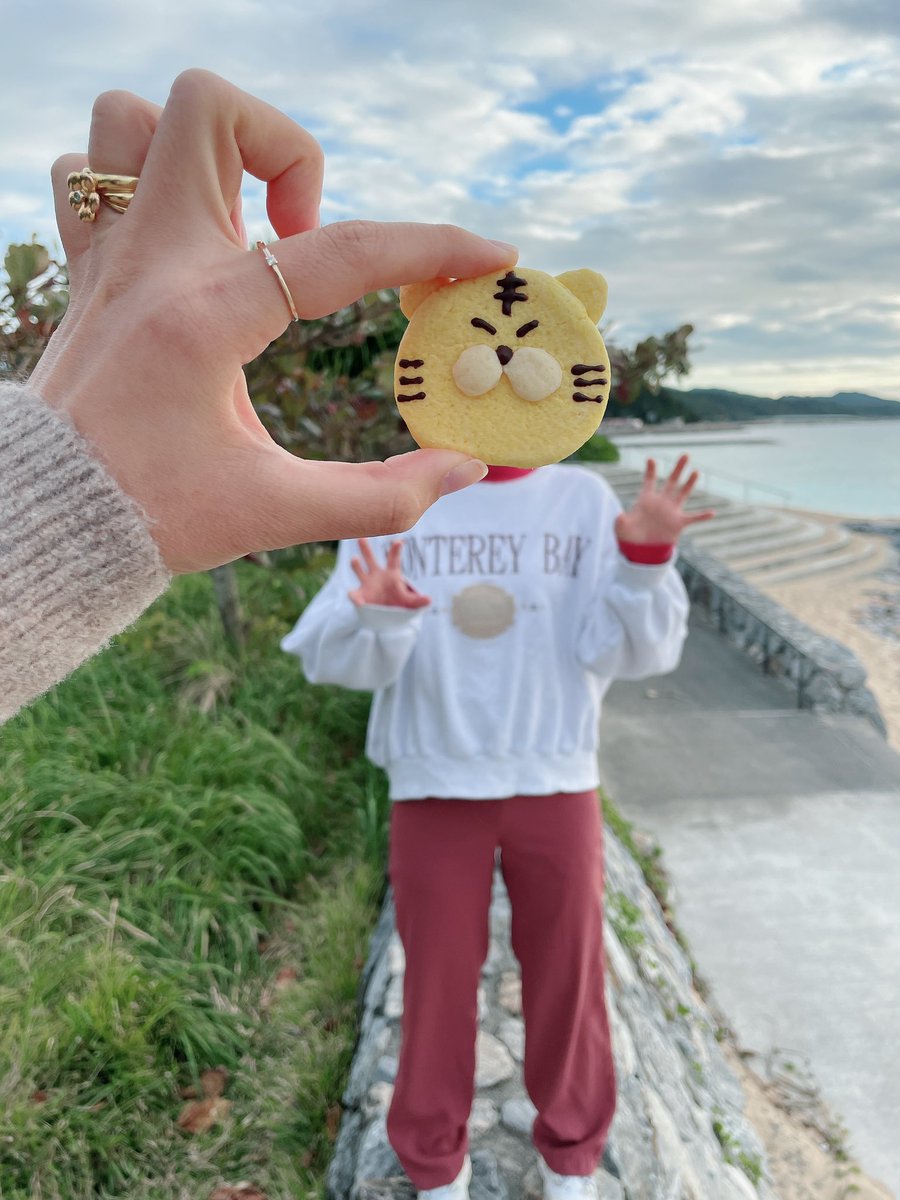 doumaimono's tweet photo. @pledis_17 ホランへ〜🐯❤️‍🔥 https://t.co/2Tc7zjJhUz