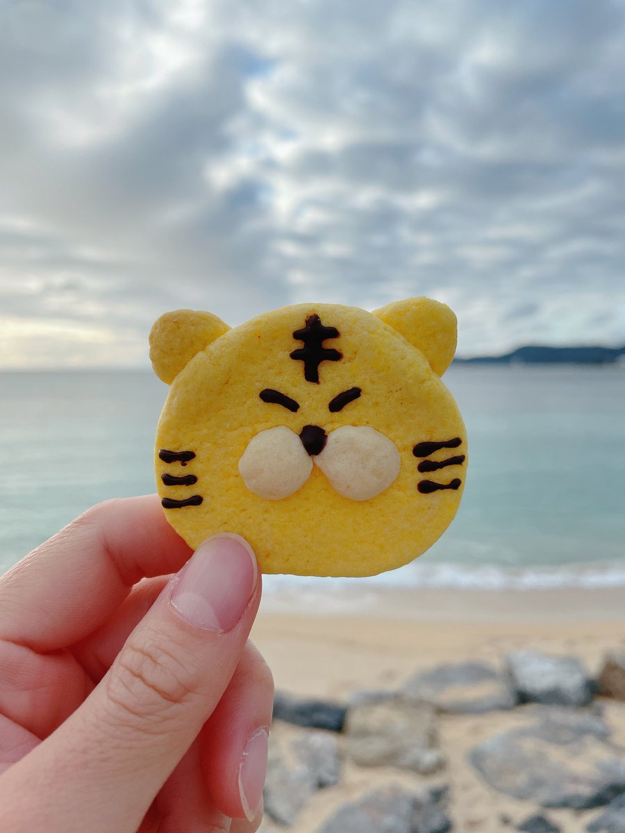 doumaimono's tweet photo. @pledis_17 ホランへ〜🐯❤️‍🔥 https://t.co/2Tc7zjJhUz