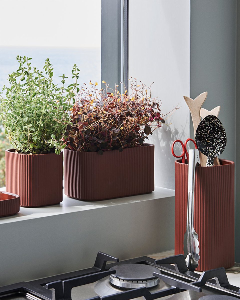 HighsAndLows05's tweet photo. Whether its herbs or utensils, Hay's Facade set has you covered. Available in-store via our Low End Therapy Department and online now. #teamhal #haydesign #lowendtherapy https://t.co/jOkPSmDVwi https://t.co/hMnRNe9nPh