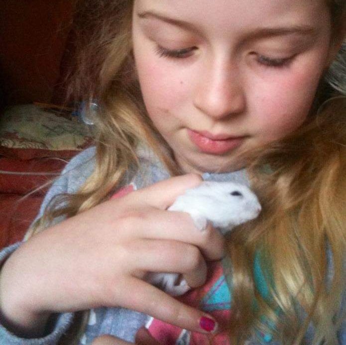 10 years ago today, I had my first animal rescue

I spotted a half blind hamster scuttle under the fire engine

Carried it back to the station in my helmet

Took it home

Kids were so excited at their superhero mum & named him Jack Sparrow because 