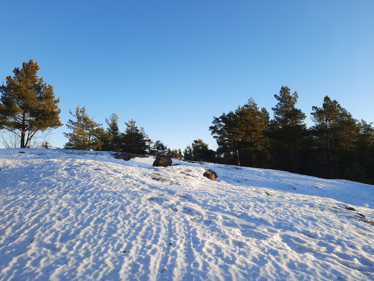 Erinomainen päivä ulkoiluun. Hieman jo kevään tuntua ilmassa. #tammikuu #viikonloppu
