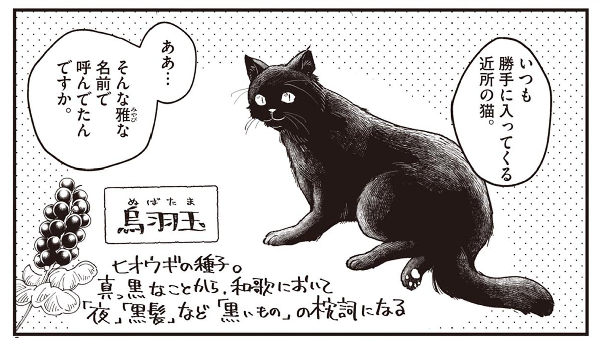 黒猫を佃煮と呼ぶセンスの男…… #璋子様のお気に召すまま 