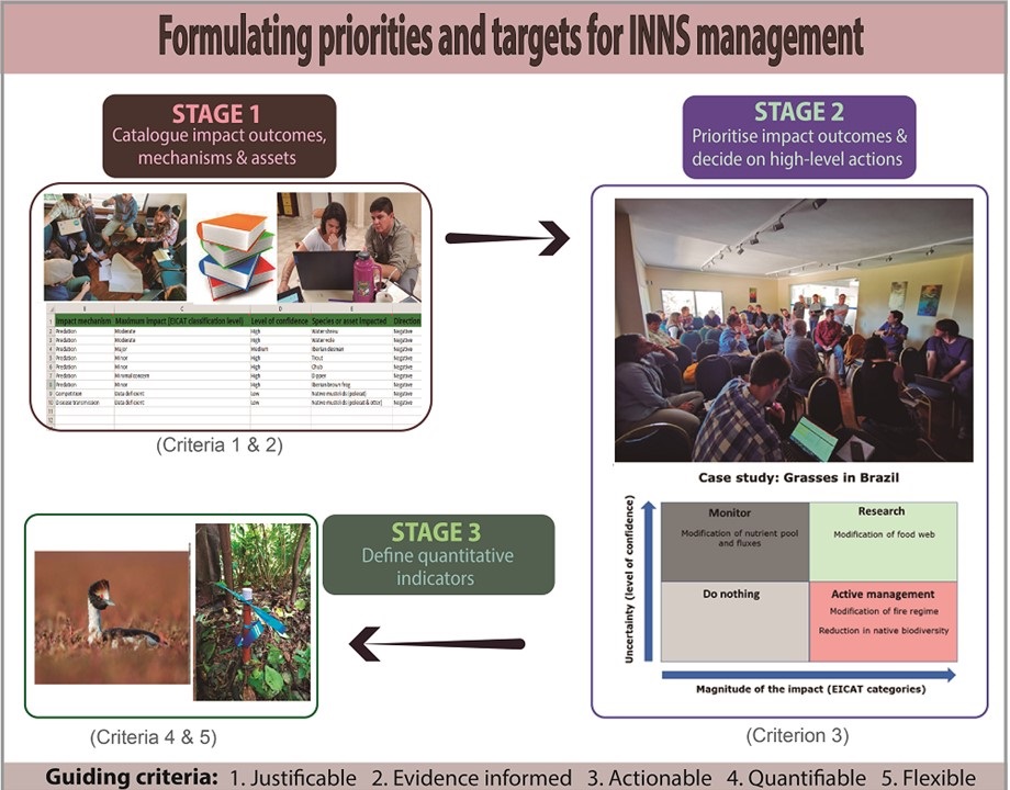 Now with page numbers! Check out our @ContainLatam open-access paper on how to identify priorities and high-level actions for #IAS management link.springer.com/article/10.100…