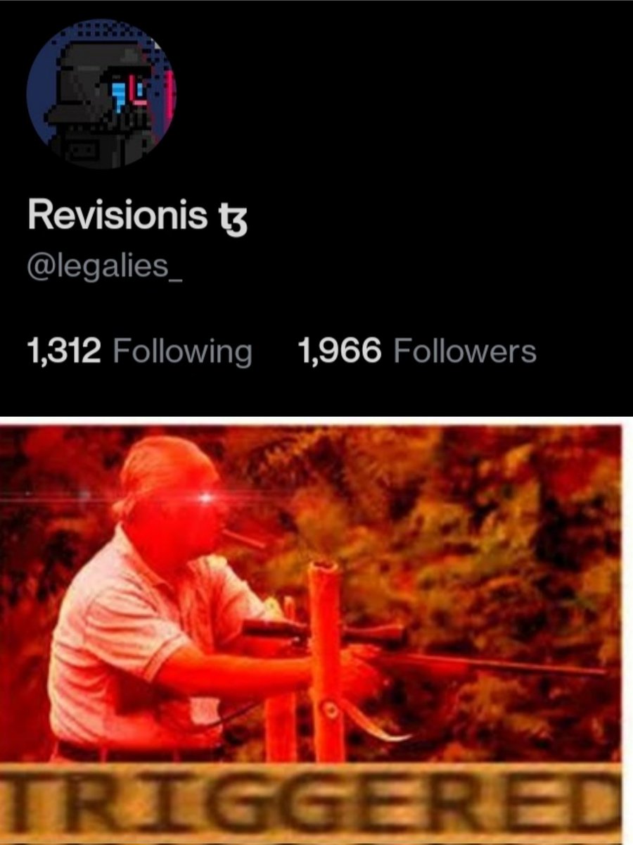 Revisionis 👾 tweet media