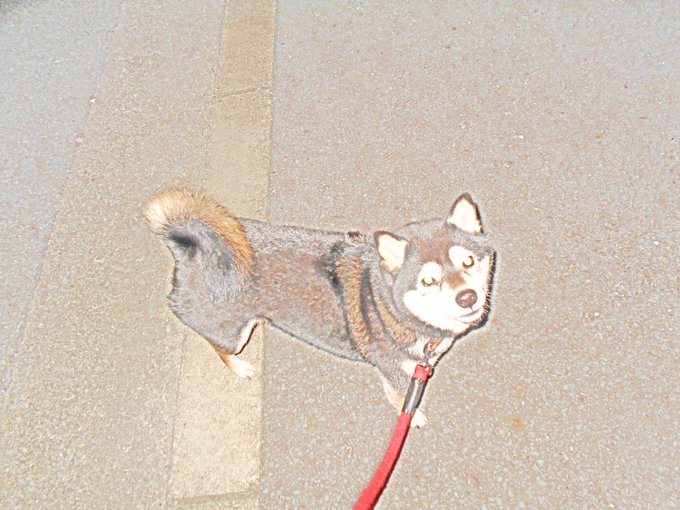 藤原紀香 がツイッターで話題になったテレビ番組 トレンドアットtv