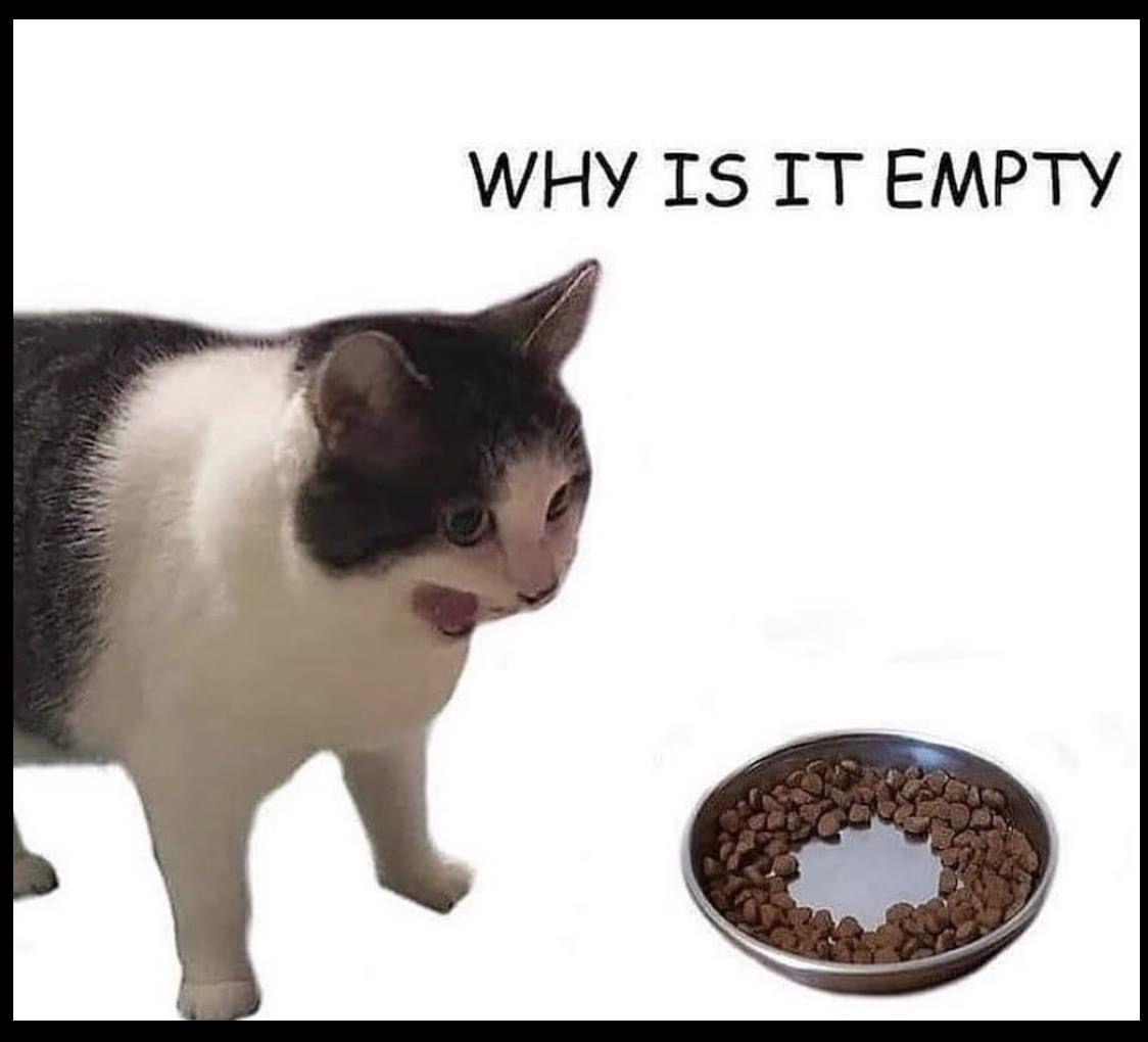PoppedBit's tweet photo. #brocat https://t.co/F90JZsfWug