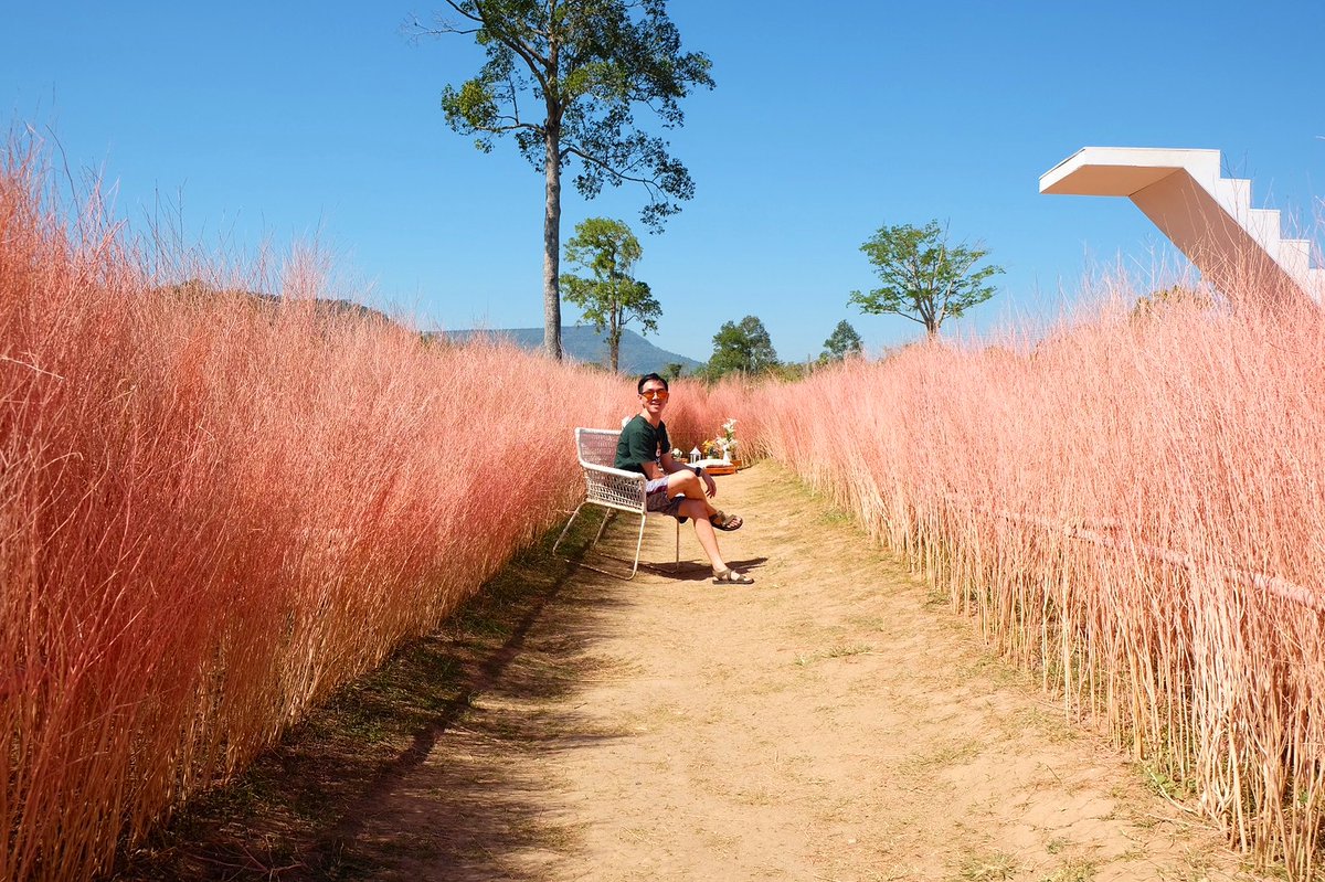 SaveChicK's tweet photo. หญ้าสีจมปู!!!!
#cafevibes https://t.co/YLw7J1dY00