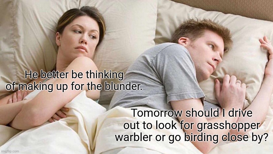 kaadupapa's tweet photo. When you always think about birds
#birds #birdwatching #birdsmeme https://t.co/9IjOFM5d9u