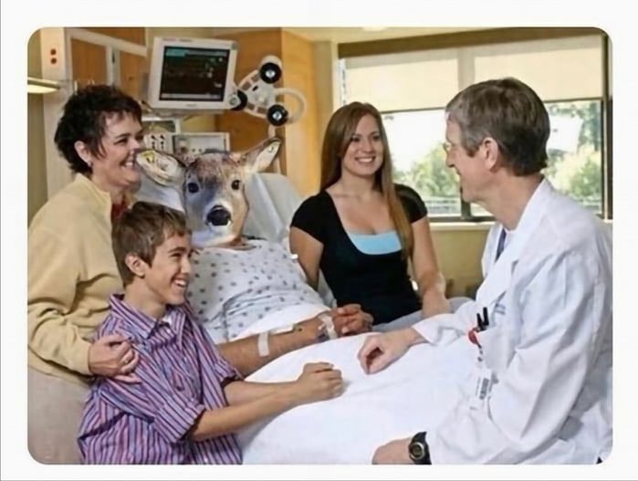 Así es como piensan los veganos que los animales mueren en el mundo salvaje.