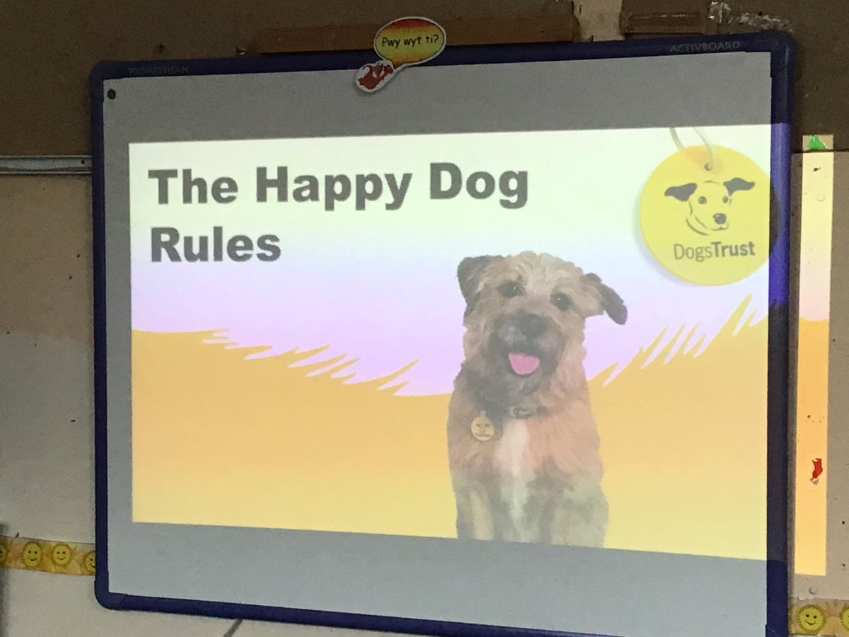 Sandfields_Pri's tweet photo. Dragons enjoyed a visit from the Dogs Trust this week where they learned the Happy Dog Rules and demonstrated an understanding of keeping dogs happy and themselves safe #sfpdragons #sfphwb #dogstrust https://t.co/ScyEm21nc4