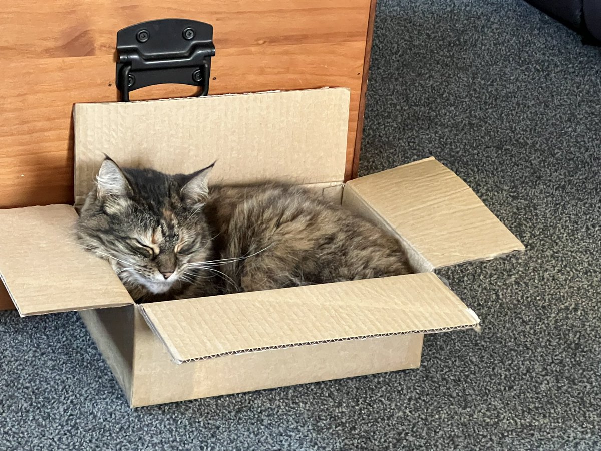 lynette13929011's tweet photo. @bastet8300 @scruffkit @RolfatWarwick @oldenoughtosay @UrsulaV @saucypirate @johnstf @seananmcguire And the 2nd one https://t.co/qKQo98Kdp7