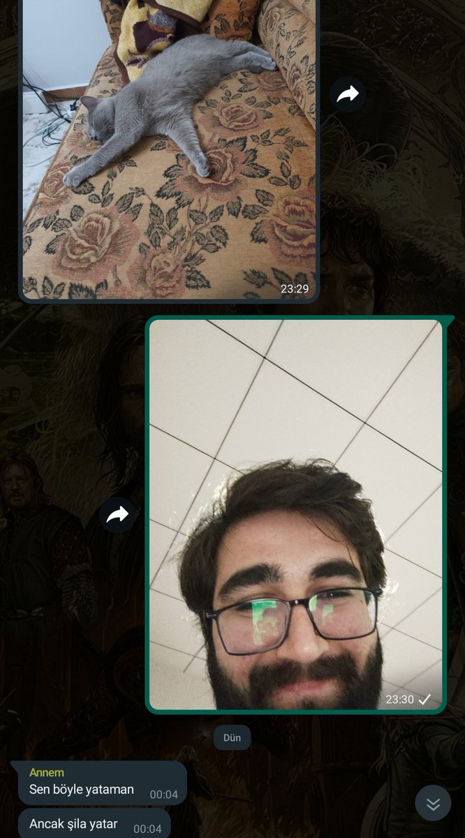 Eve evlatlık gelen kedy artık daha değerli🥲