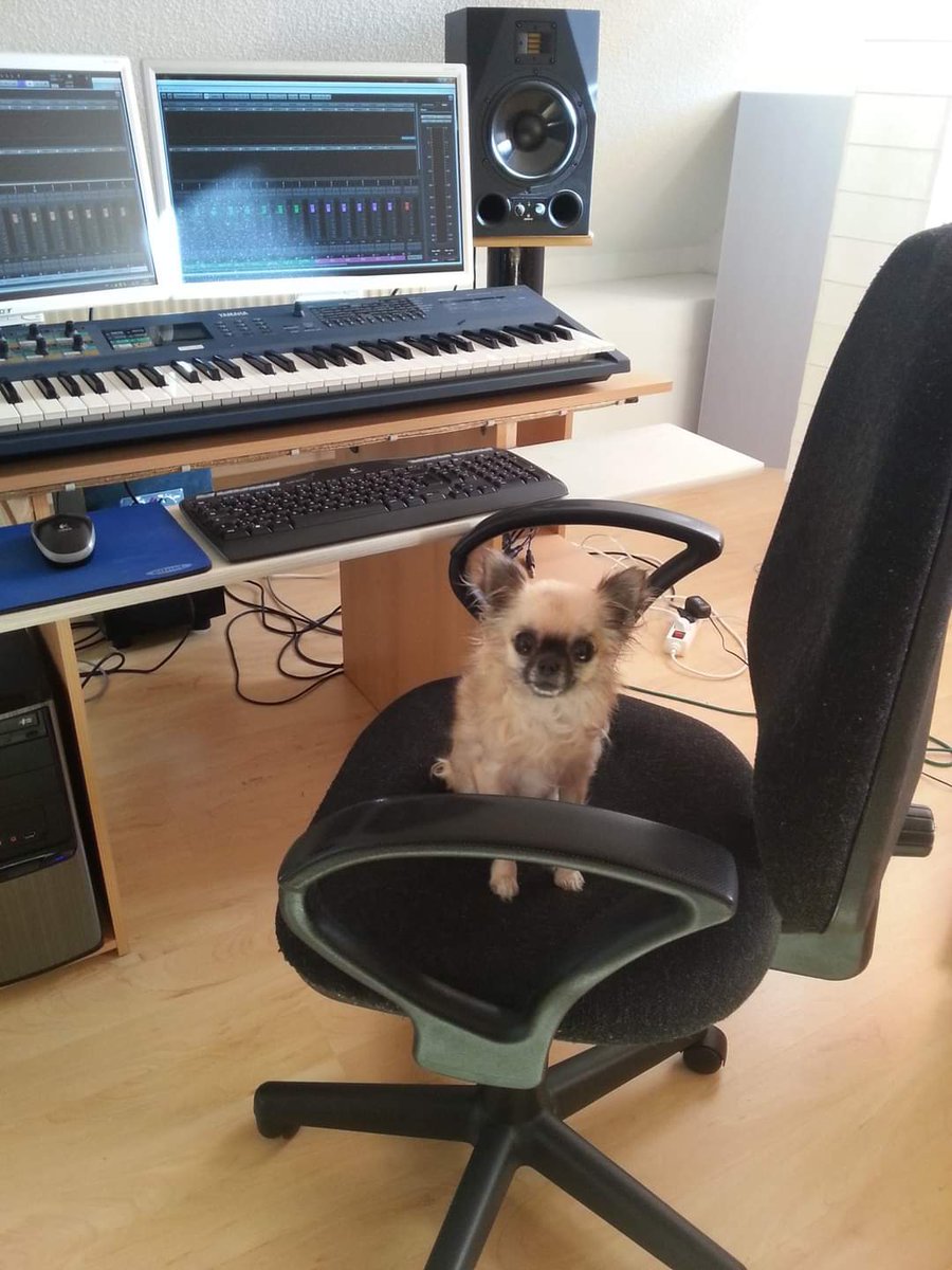Royce_Music_prd's tweet photo. 👑 Behind the scenes.
#ghostproducer #clubdog https://t.co/6kDySDrJ7A