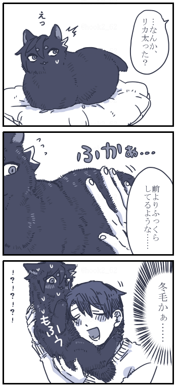 ネコチャン漫画
もっふりしている 