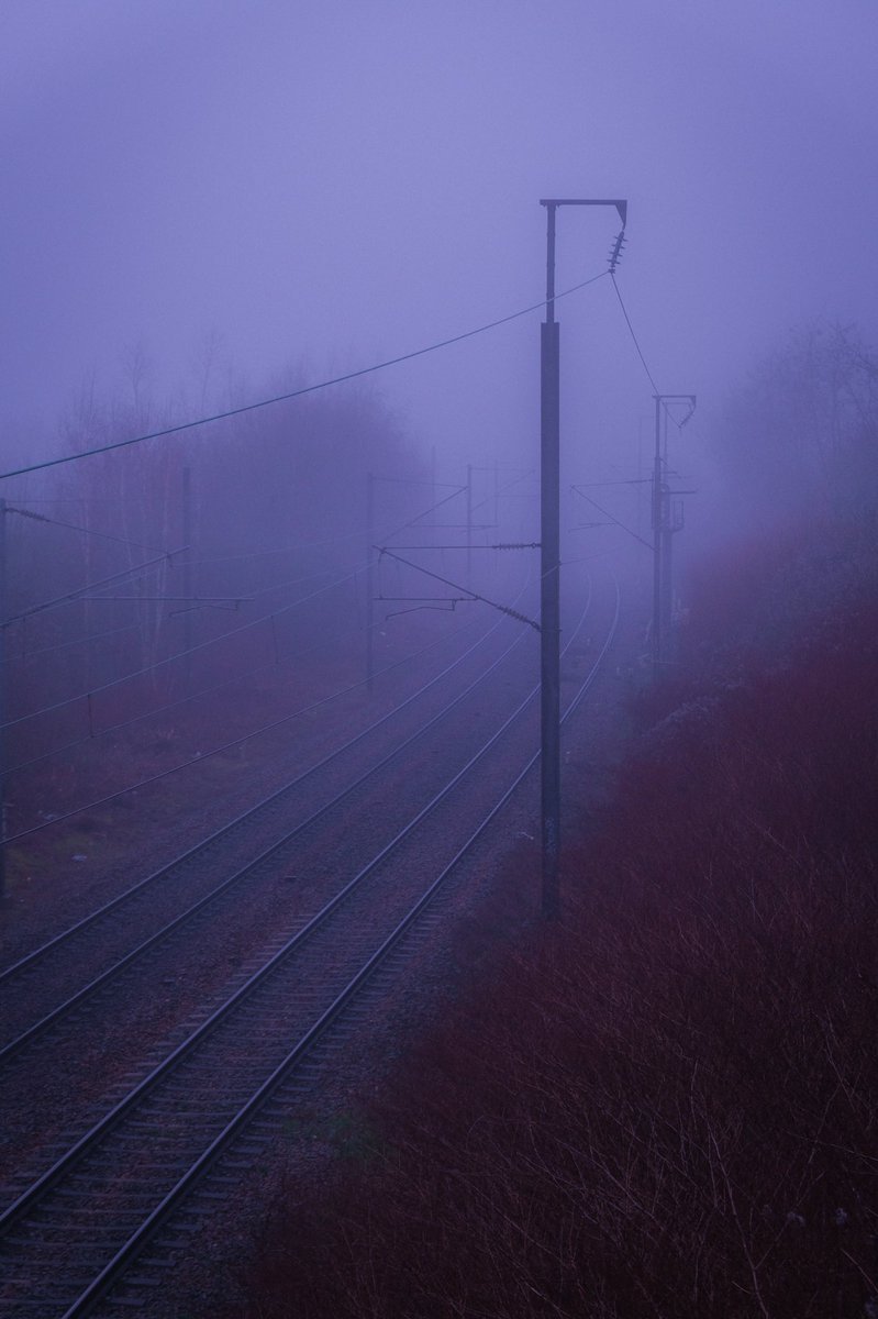 morning fog