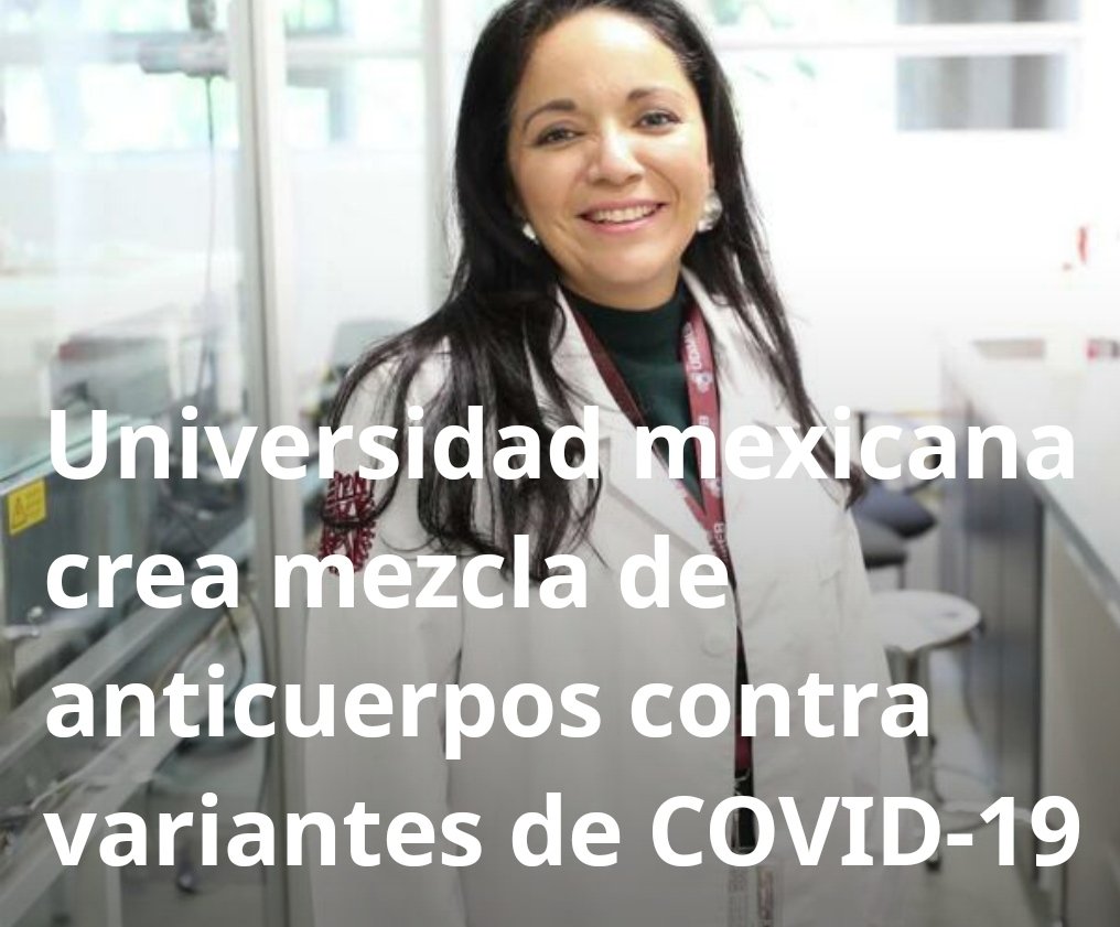 GdpLibervalle's tweet photo. Universidad mexicana crea mezcla de anticuerpos contra variantes de COVID-19

https://t.co/ULmo80kQMS https://t.co/Fo0Pe9WuUj
