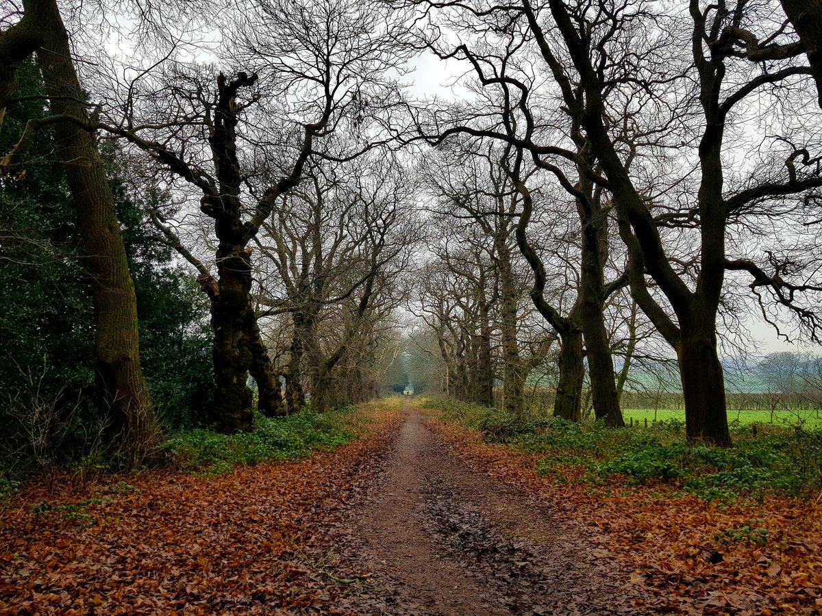 kendie's tweet photo. A lunchtime walk around Keele. It was pretty quiet so I didn't go off down into the woods. #KeeleUniversity #walking #Keele #keelehall https://t.co/L3izdGeOUr