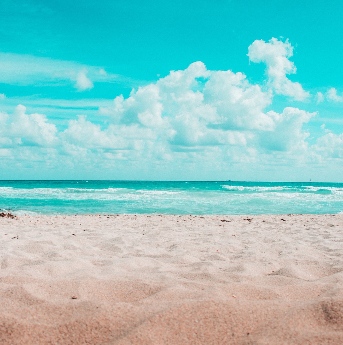 Oceans 234 tweet media