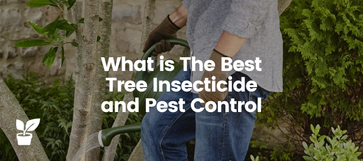 This article explains how to choose for the optimal manner the best tree insecticide so that you won't harm your home garden.

irrigationsuppliesstore.com/best-tree-inse…
 
👉 For more quality gardening insight, follow: <a href="/StoreIrrigation/">irrigation supplies store</a> 

#TreeGardening #TreeGarden #TreeInsecticide #TreePestControl