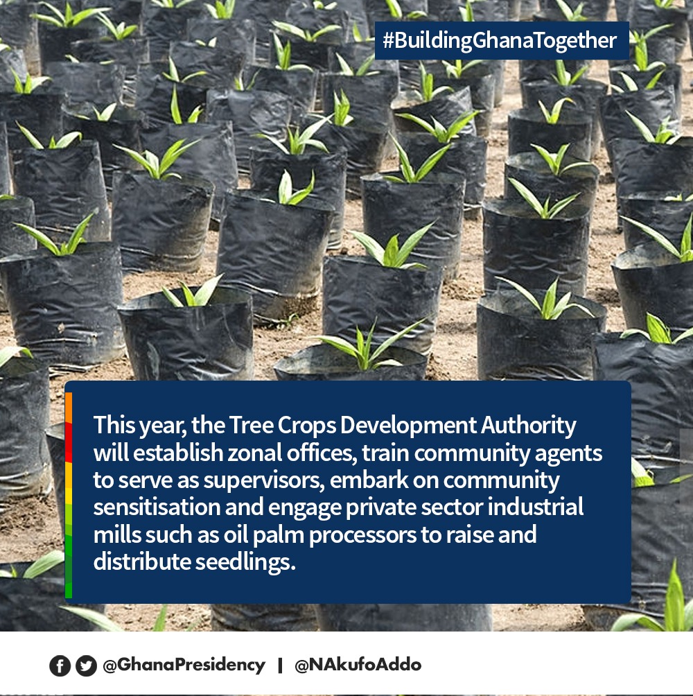 NPP_GH's tweet photo. Government's vision for agriculture is right on course...
#BuildingGhanaTogether https://t.co/0XbaSwM7Kj