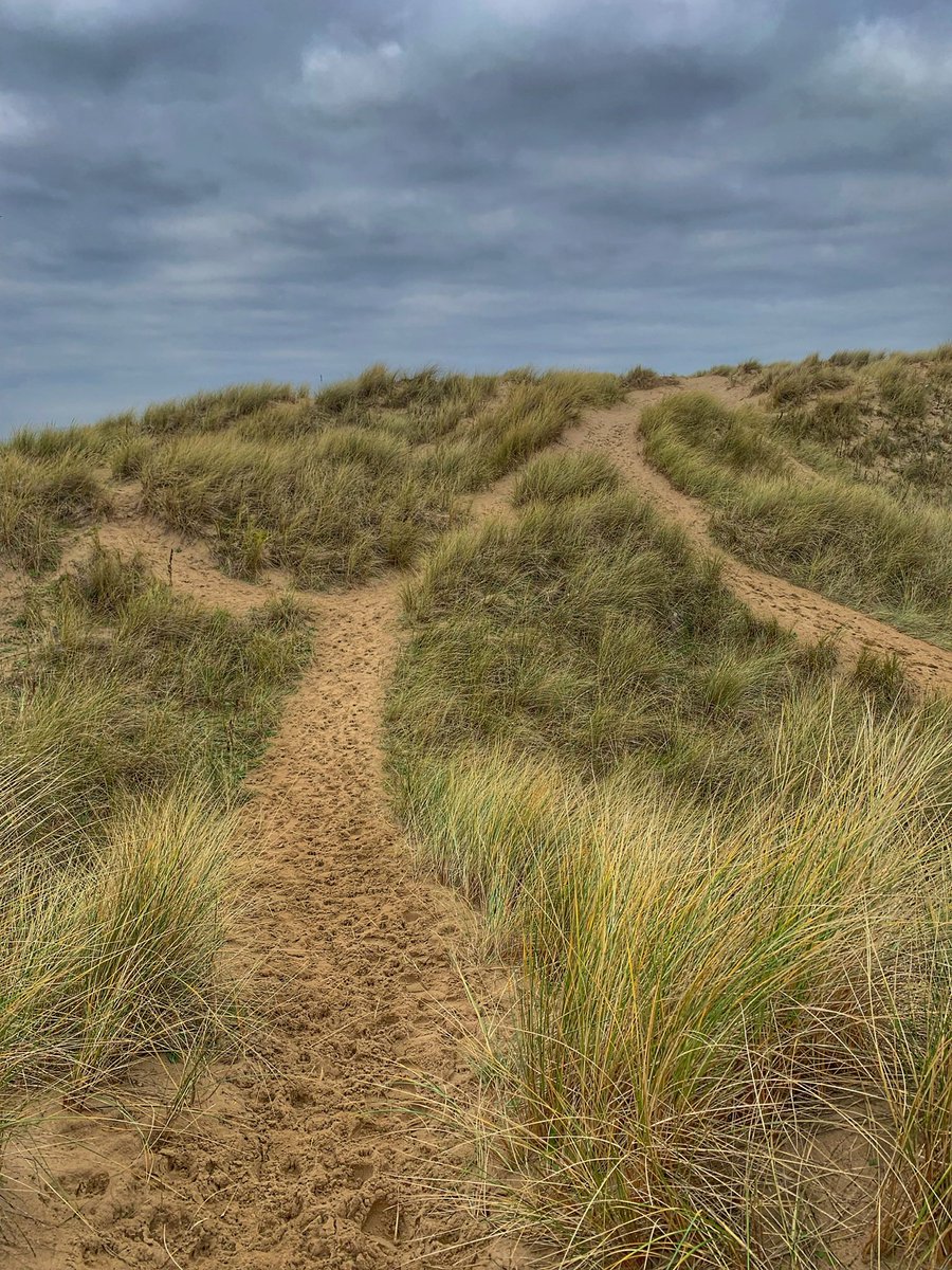 ladypuddy's tweet photo. Saturday adventure runโฆ. Canโt beat a run exploring new places. #run #running #runchat #runner #exploe #wales #lovewales https://t.co/ldk06urjmk