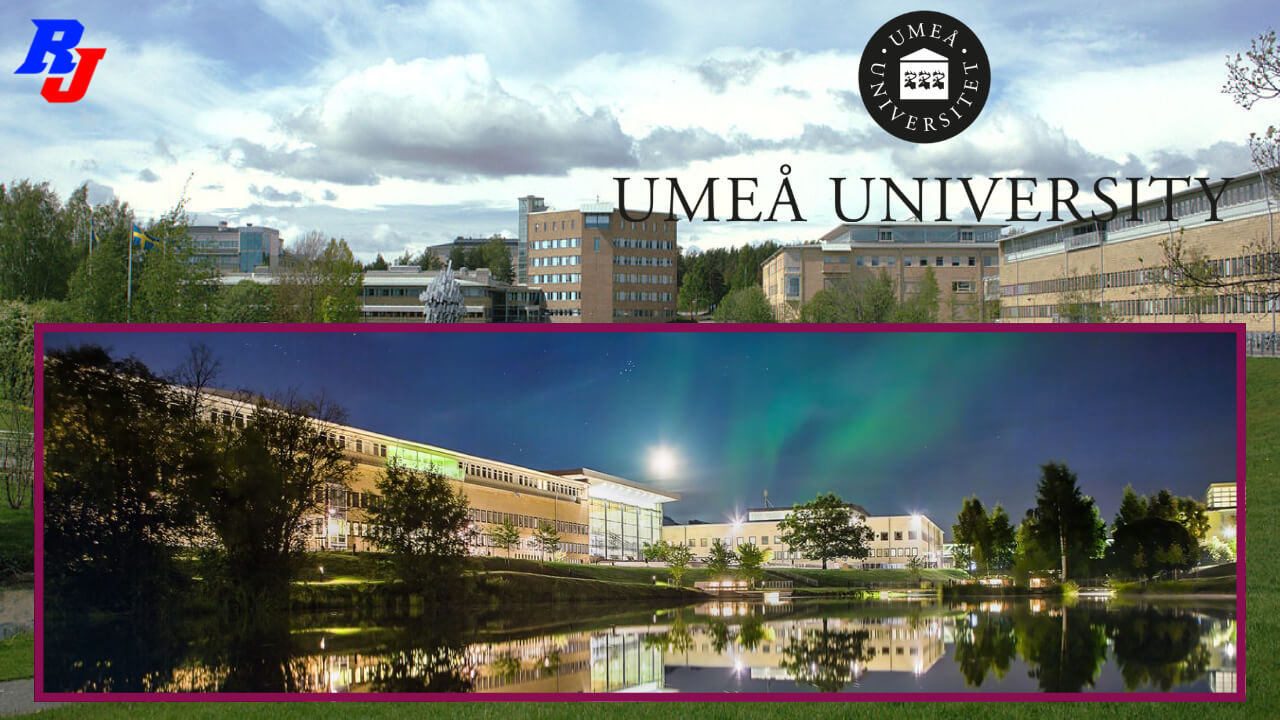 Research & Various Postdoc Position in Sweden, Umeå University