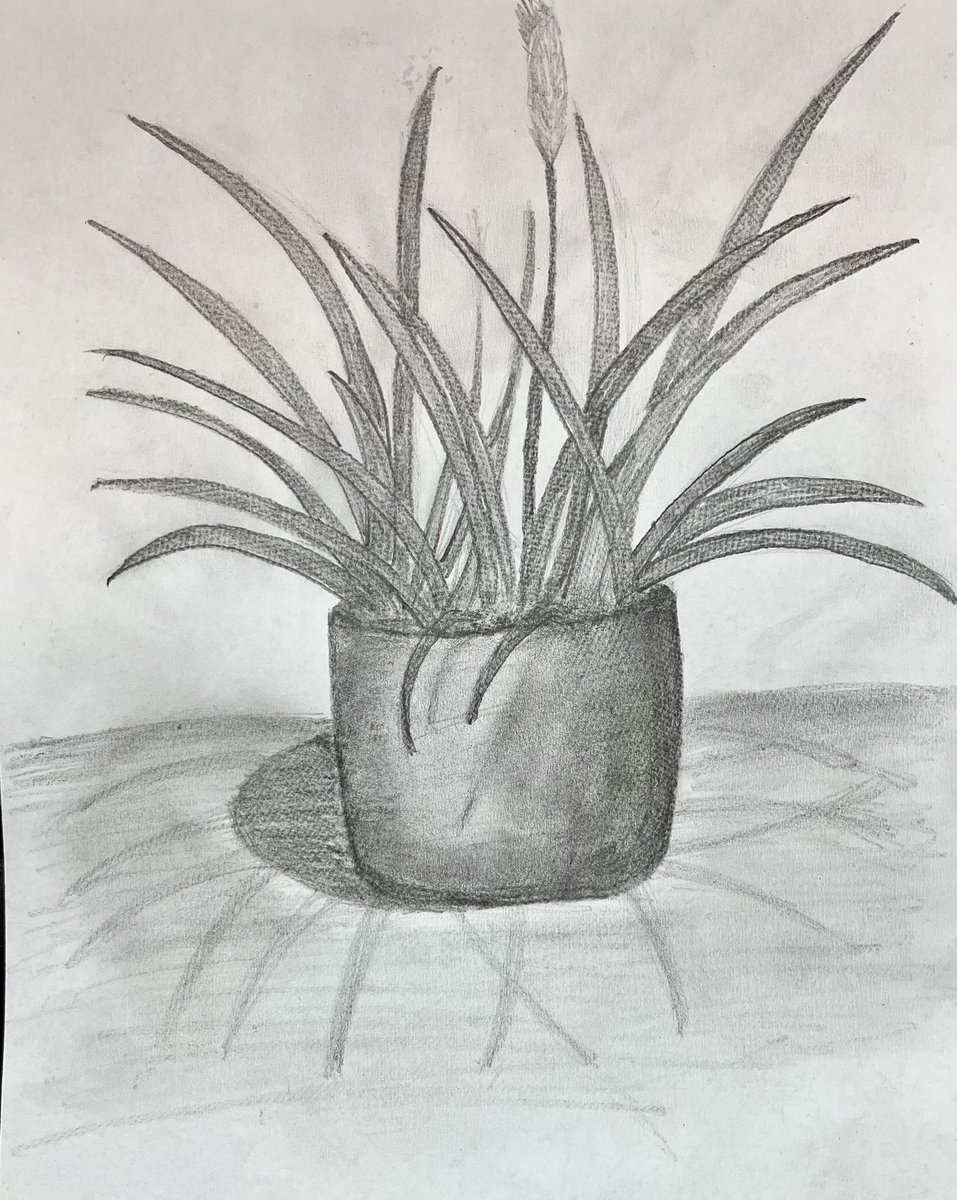Sketch n°8: "That IKEA plastic plant we all have" #sketch #Pencildrawing #IKEA #plants