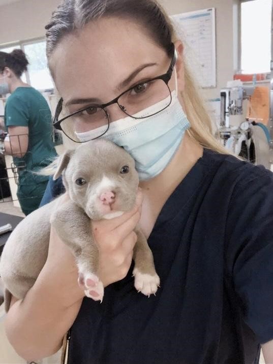 pucvm's tweet photo. Student Highlight is second year DVM student Maria Jaramillo! She wants to specialize in internal medicine or surgery!
You can #BeAPurdueVet at https://t.co/CpMI74hDU7
#studenthighlight #purduecvm #purduevet #PVMFamily #PurdueUniversity @AVMAvets @LifeAtPurdue https://t.co/5nW3hDntc9