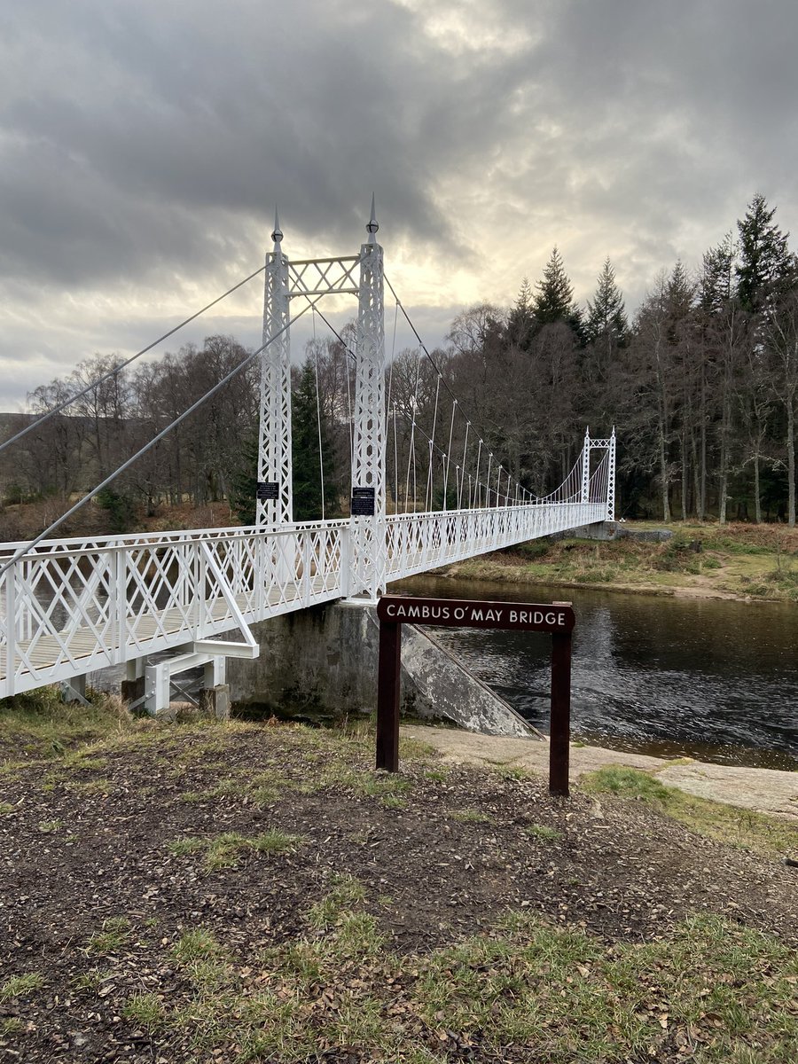 Lynn Morrison tweet media