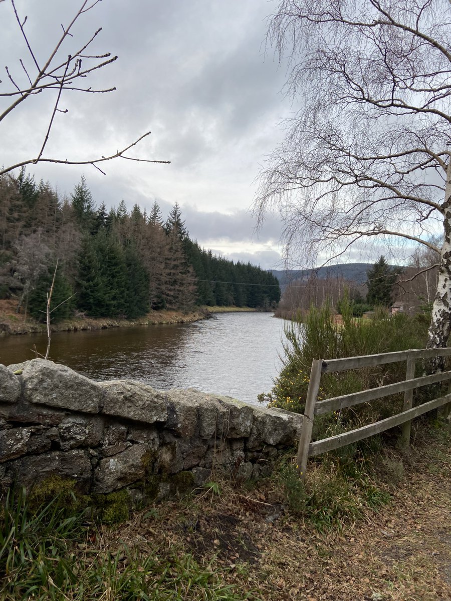 Lynn Morrison tweet media