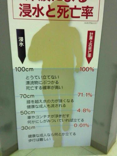 1mの津波では死亡率100％。もはや人間はどうする事もできない