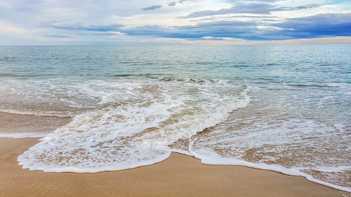 JoeLambJr's tweet photo. There's just nothing like an Outer Banks afternoon 🌾🌊
#obx #outerbanks #obxvacation #joelambjr https://t.co/0wDjtbuqUW