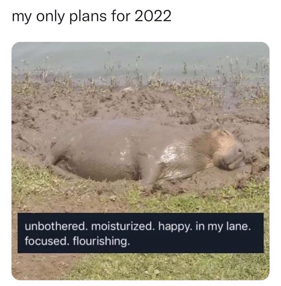 ThePushDaily's tweet image. 