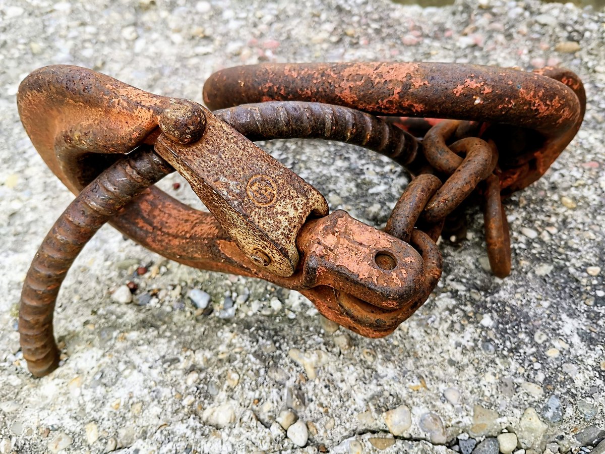 #JedeWocheEinFoto
KW02/22
Über oder auf die Mauer geschaut