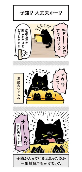 ぬいぐるみのことを子猫だと思って、救出作戦を実行していたねこの絵日記(2まい+おまけ)#ろんの絵日記 