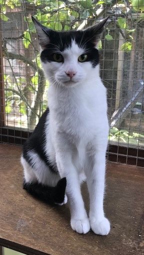 Marjorie Nash tweet media