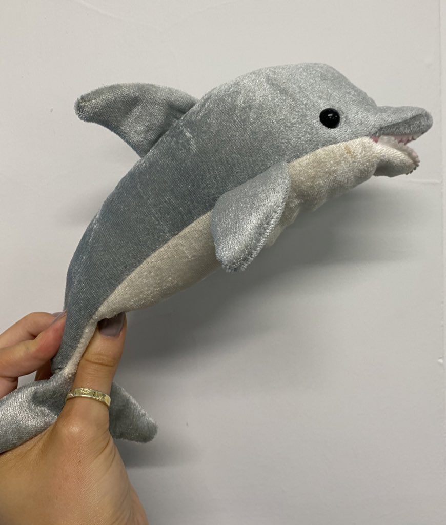 We are currently learning about online safety in PSHE and today we discussed sharing things online. My class chose to share a photo of our dolphin & I would really appreciate as much interaction with this post as possible to show how quickly and how far online posts can spread😌