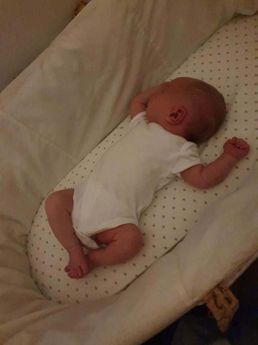 Probably_Emily_'s tweet image. How has my tiny baby grown so much 😭