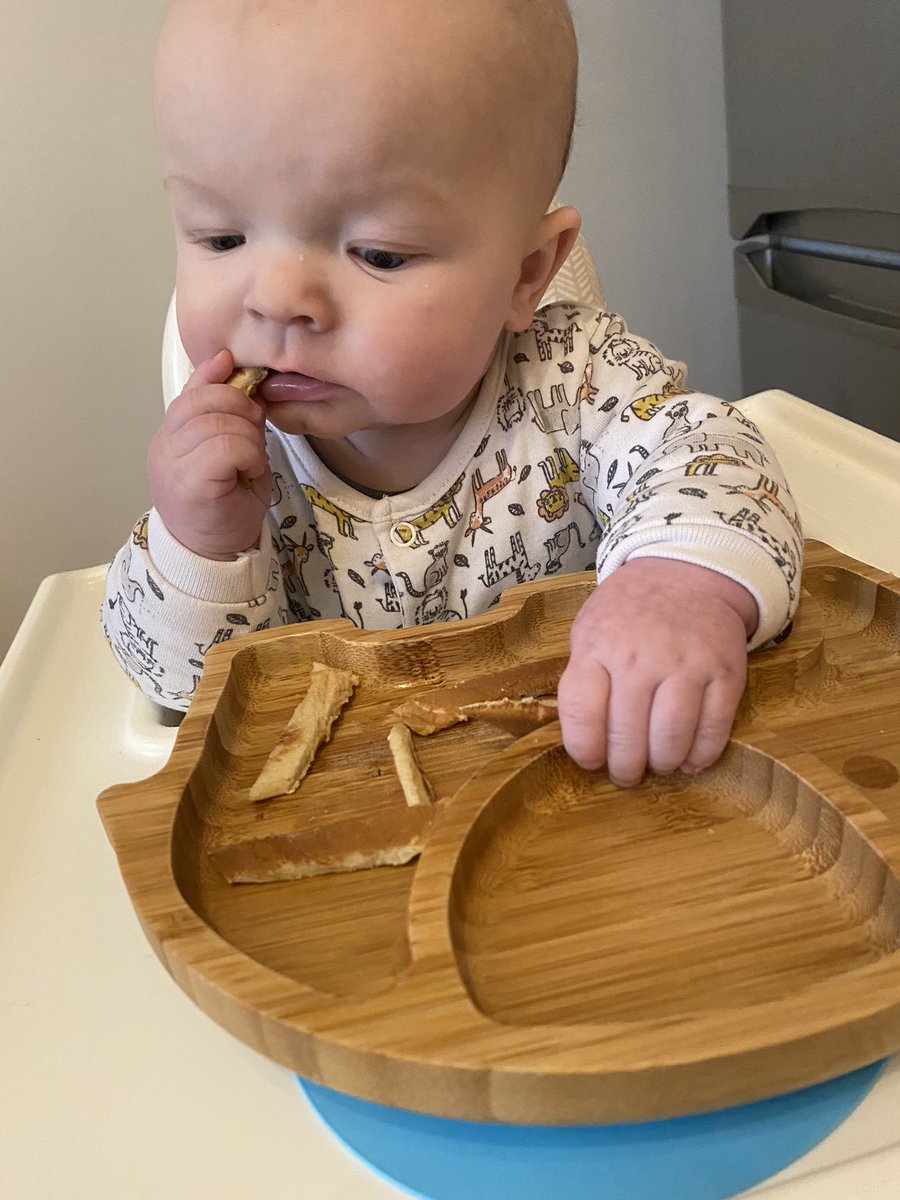 Probably_Emily_'s tweet image. How has my tiny baby grown so much 😭