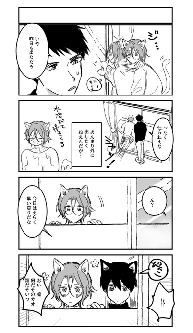 ネコの遙凛まんが 水浴びが運命の出逢いを引き寄せる… 