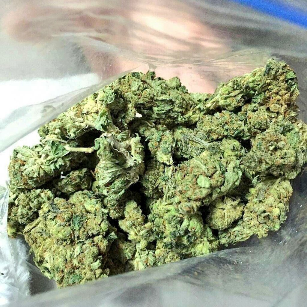 FranceWeed42019's tweet photo. 🌿🔫🗡💵💳Bon plan pour vous la fafa tout est carré livraison 🚚24/7🇫🇷🇧🇪 snapchat:Hkushcoffee2608 Wickr me :caliweed245
#PSG #Nantes #weed #beuh #shit #cocaïne #drogue #trappes #LOSC #Lyon #rastabot #Nice #lille #franceverte #4tchat #citation #montpellier #Bordeaux https://t.co/AsUJb0zZJy