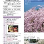 ツイートに含まれる画像