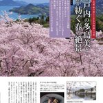 ツイートに含まれる画像