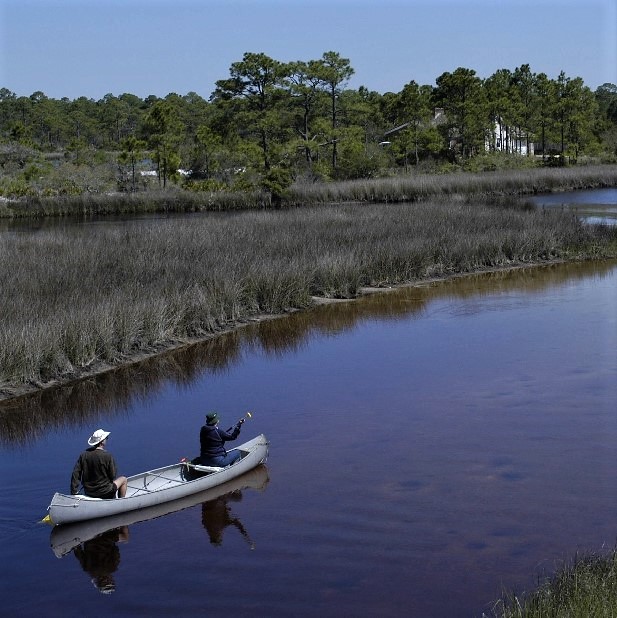 VisitPerdidoKey's tweet photo. Do things at your own pace, life is not a race ๐ถ๐ #PerdidoKeyLife #LifeontheWater #CanoeAdventures #BigLagoonStatePark https://t.co/aJjveq01fv