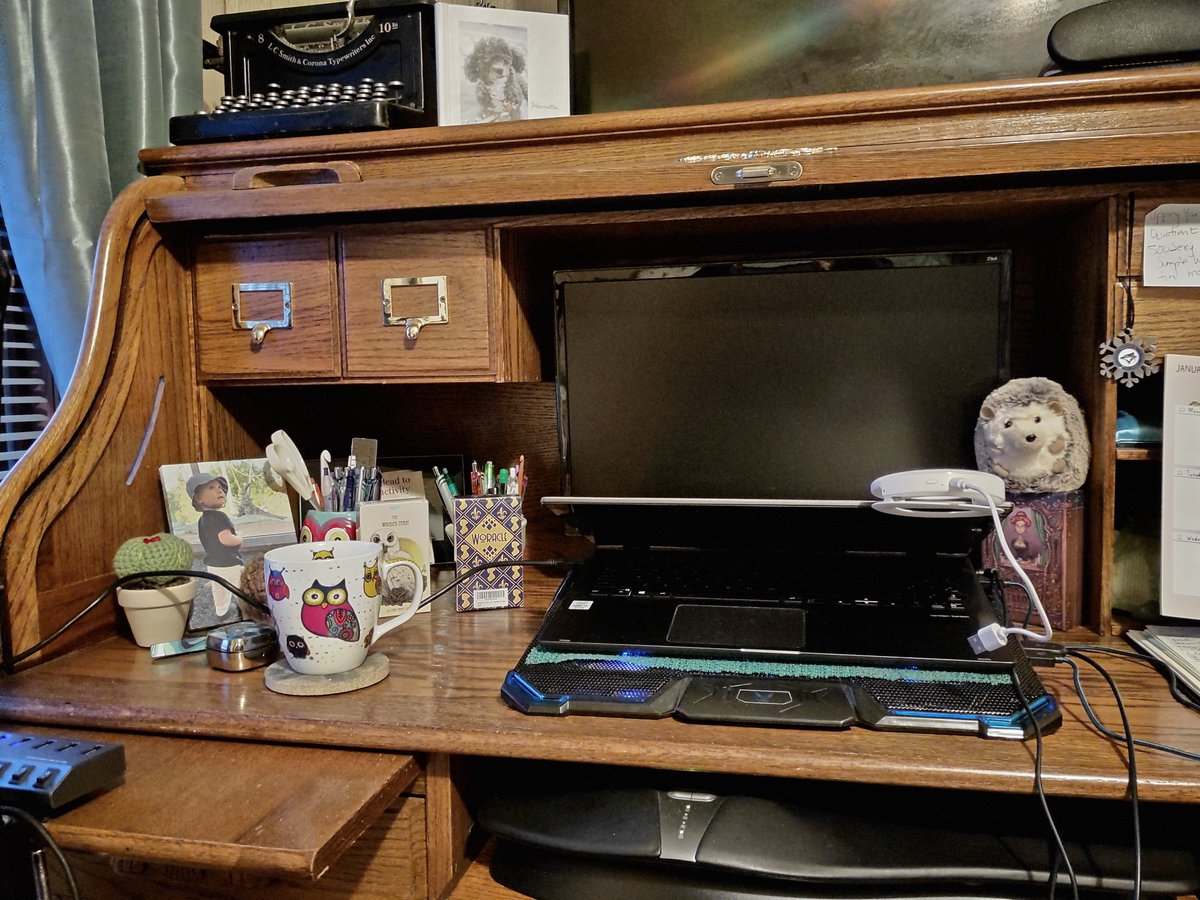 Friday was #organizeyourhomeday I always organize my #wfh workspace. Show me your desk! #amwriting