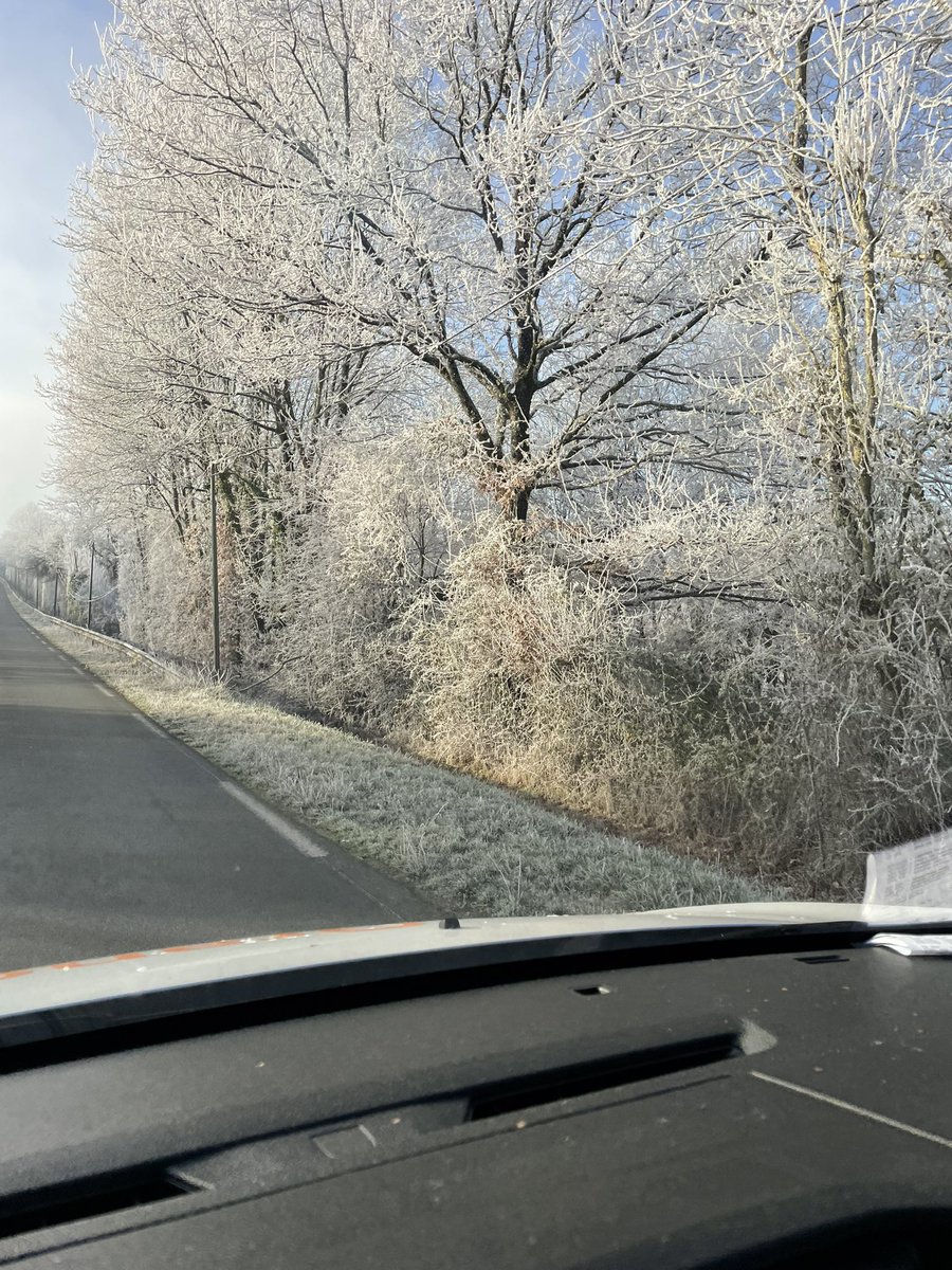 -5 ce matin mais que c’est magnifique ! #orange #deuxsevres
