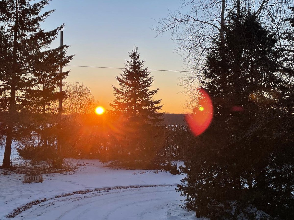 JKendrickAuthor's tweet image. Frigid morning. 
Stepped outside for only a minute to greet the sun!
Looks like a #beautifulday is on the horizon🌞

Up since 6am and currently listening to @scottishindexes conference then back to #finalediting work on my #manuscript. 

#weekendvibes #sunrise #amediting #January