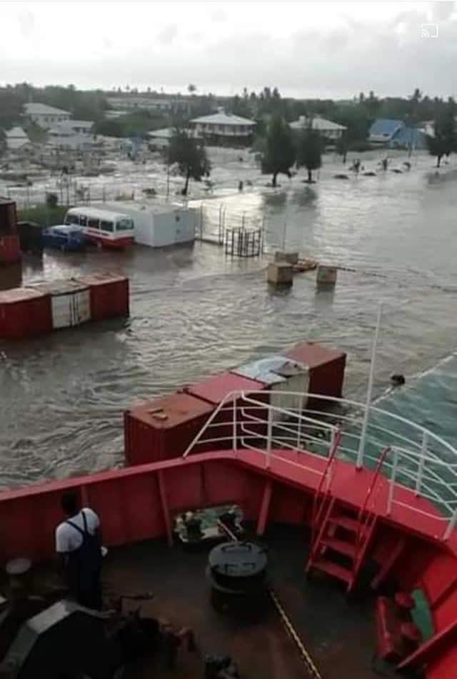 fuifui moimoi tweet media